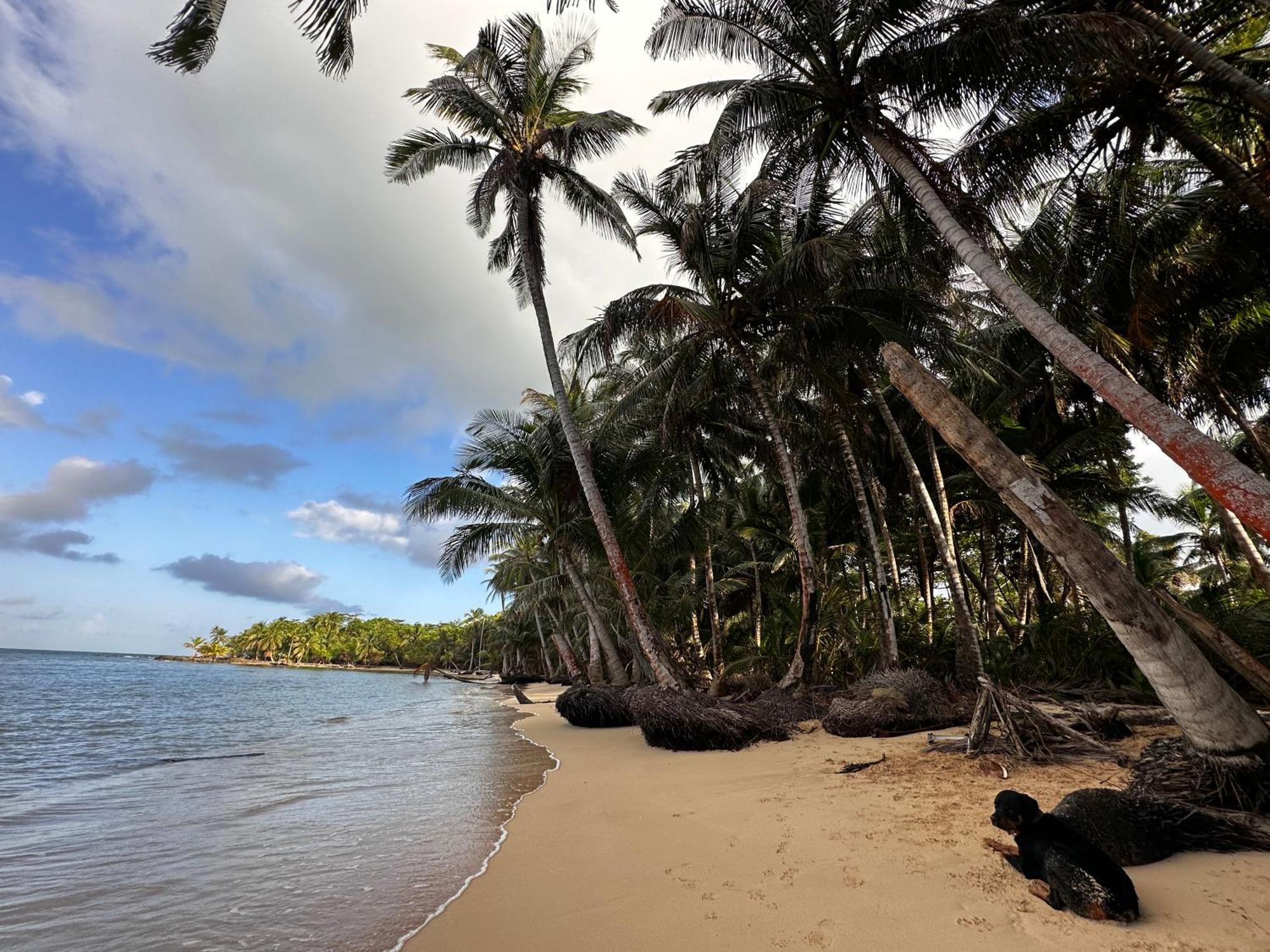Ensuenos Natural Reserve Little Corn Island Nicaragua Buitenkant foto